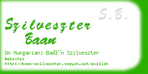 szilveszter baan business card